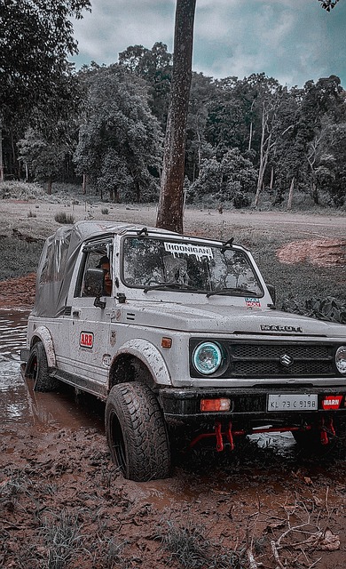 选择最佳投 选择最佳投